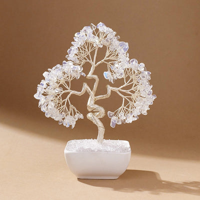 Square pot silver-threaded money tree