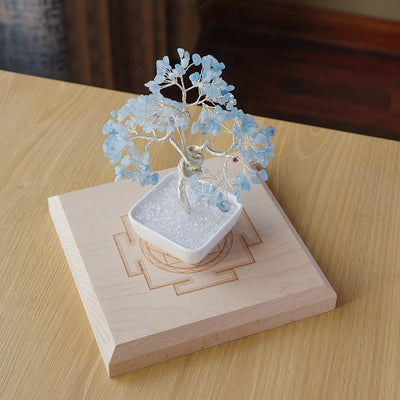 Square pot silver-threaded money tree