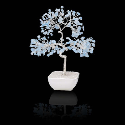 Square pot silver-threaded money tree