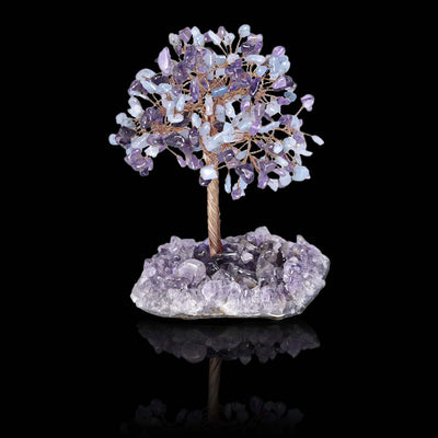 Soul Light Detox Tree