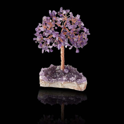 FateCord Natural Amethyst Energy FengShui Tree