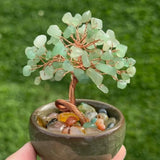 Tree of Life