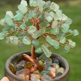 Tree of Life