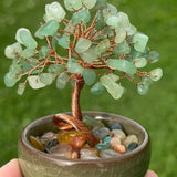 Tree of Life