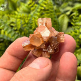 Moroccan Ore Crystals Nepheline Crystals Size 5cm Potted Style