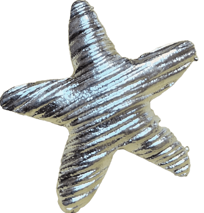 starfish