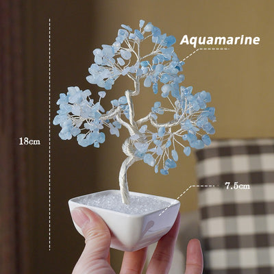 Square pot silver-threaded money tree