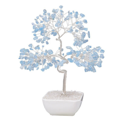 Square pot silver-threaded money tree