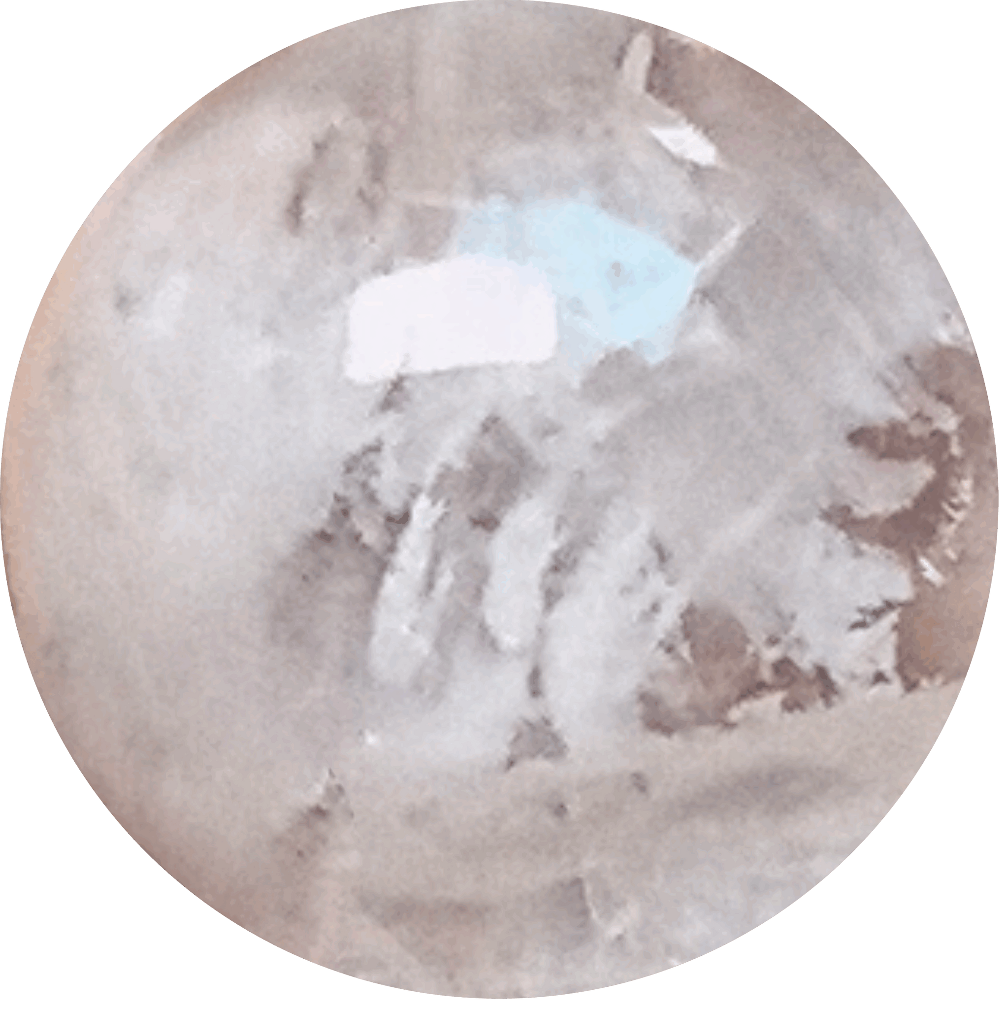 Snowflake Phantom Bead