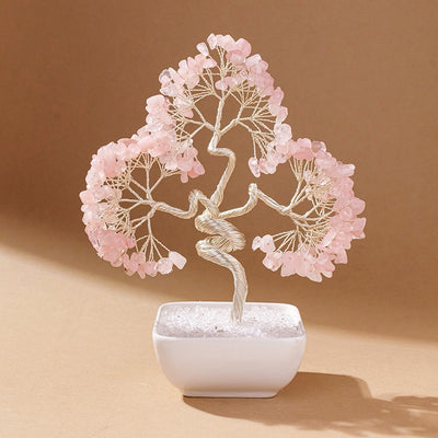 Square pot silver-threaded money tree