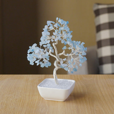 Square pot silver-threaded money tree
