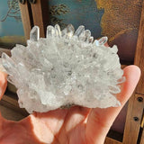 FateCord Natural Clear Quartz Chrysanthemum Cluster & Raw Purifying Stone - FateCord